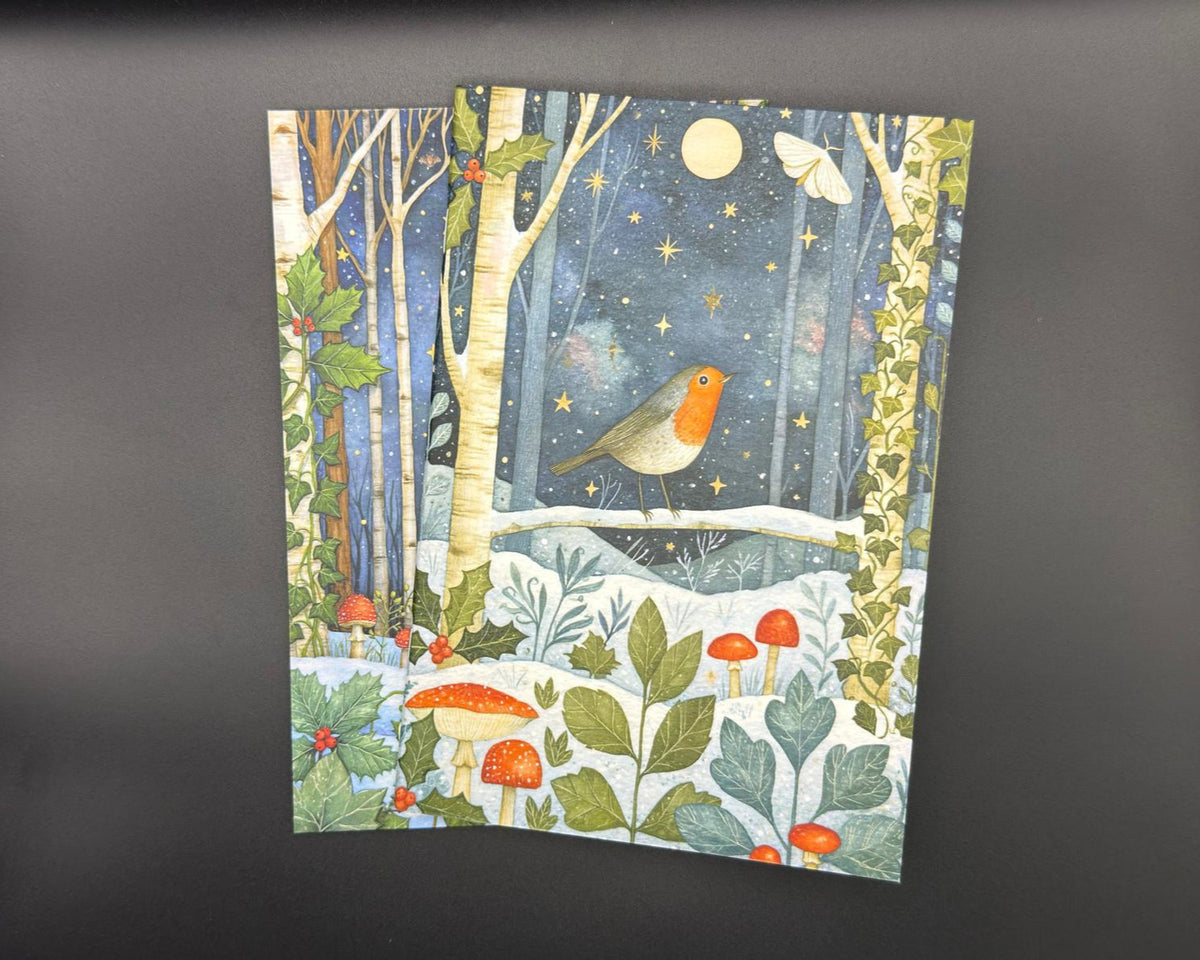 A5 notebook with plain, white pages. Design shows a robin sitting on a branch looking at the moon and a moth. The scene is snowy with leaves and mushrooms on the ground. 